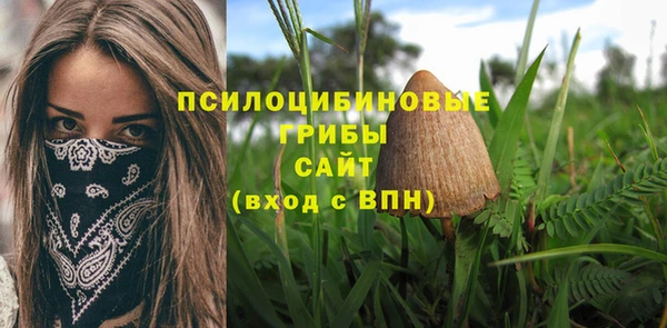 хмурый Дмитриев