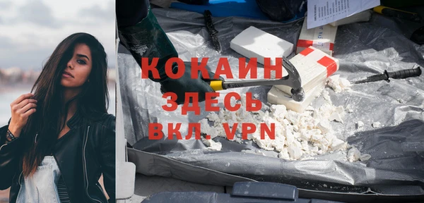хмурый Дмитриев