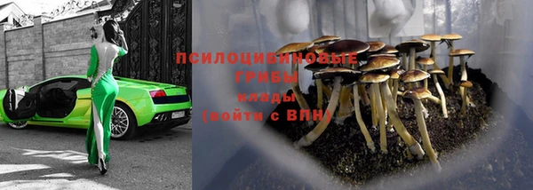 прущая мука Дмитров