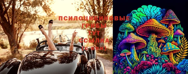 хмурый Дмитриев